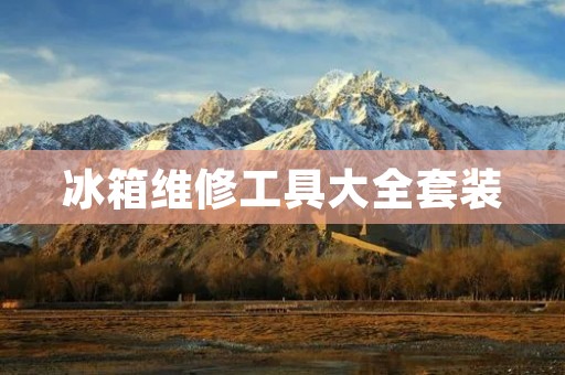冰箱维修工具大全套装:专业维修工程师的不二之选 冰箱维修工具大全套装:专业维修工程师的不二之选