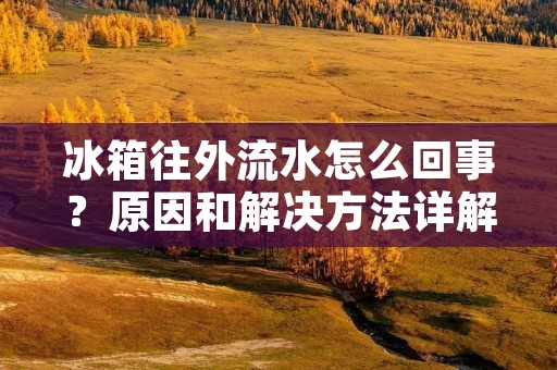 冰箱往外流水怎么回事？原因和解决方法详解