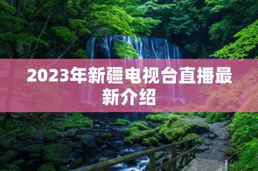 2023年新疆电视台直播最新介绍