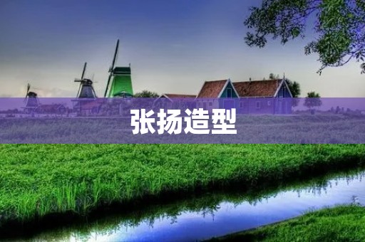 张扬造型：个性与时尚的完美结合