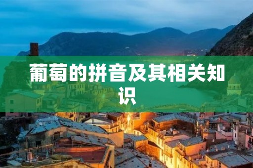 葡萄的拼音及其相关知识