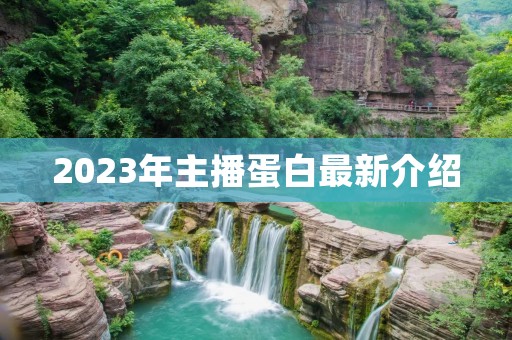 2023年主播蛋白最新介绍