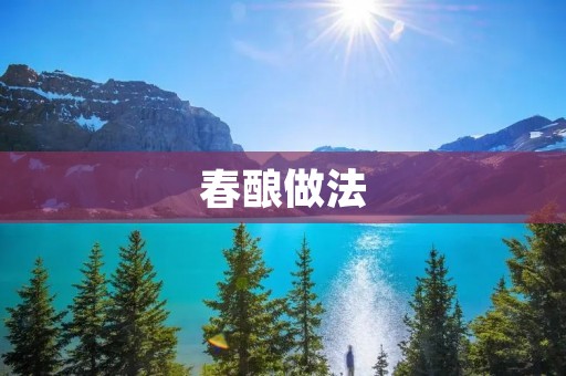 春酿做法：鲜香可口的美食