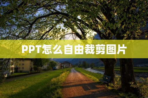PPT怎么自由裁剪图片:让你的幻灯片更加专业