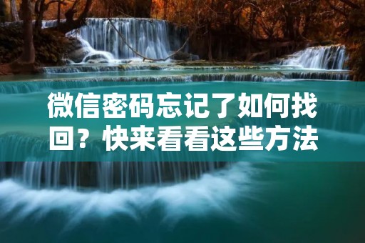 微信密码忘记了如何找回?快来看看这些方法!