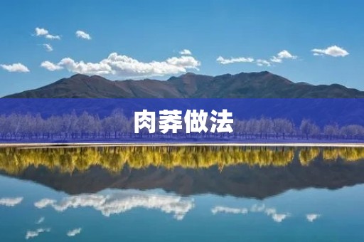 肉莽做法：如何制作一道美味的肉莽