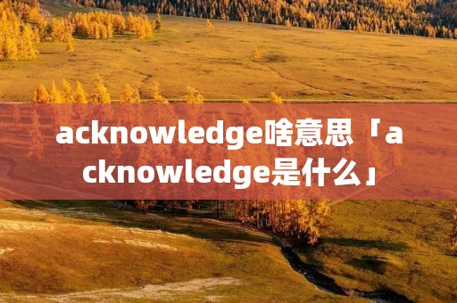 acknowledge啥意思「acknowledge是什么」
