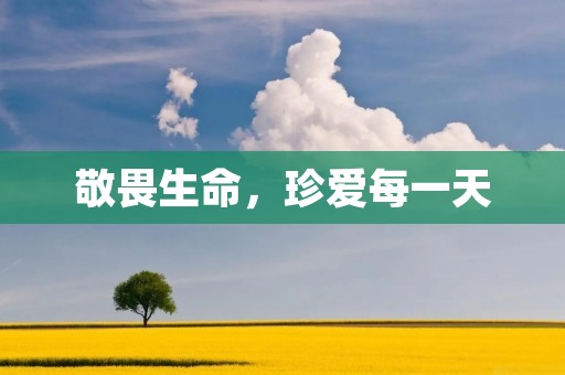 敬畏生命,珍爱每一天 敬畏生命,珍爱每一天