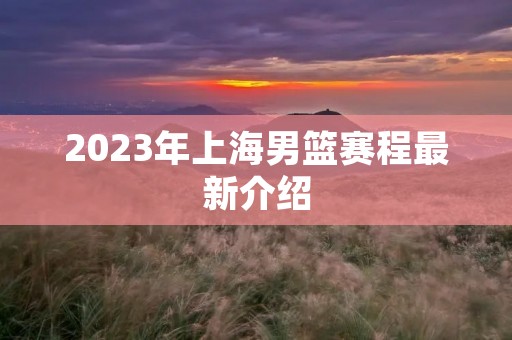 2023年上海男篮赛程最新介绍