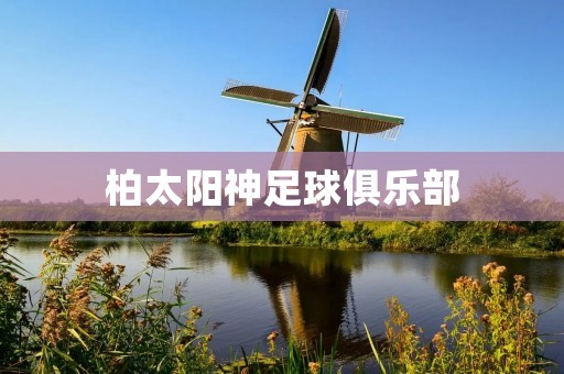 柏太阳神足球俱乐部:日本职业足球的领航者 柏太阳神足球俱乐部:日本职业足球的领航者
