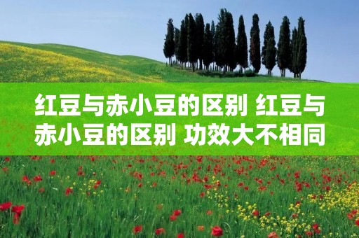 红豆与赤小豆的区别 红豆与赤小豆的区别 功效大不相同赤小豆 红豆与赤小豆的区别 红豆与赤小豆的区别 功效大不相同赤小豆