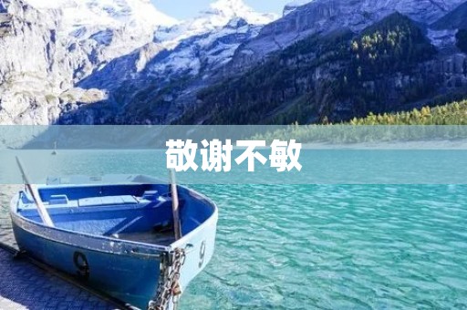 敬谢不敏:为什么我们不敢问问题? 敬谢不敏:为什么我们不敢问问题?