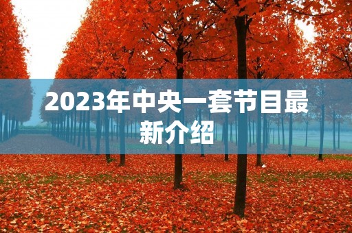 2023年中央一套节目最新介绍