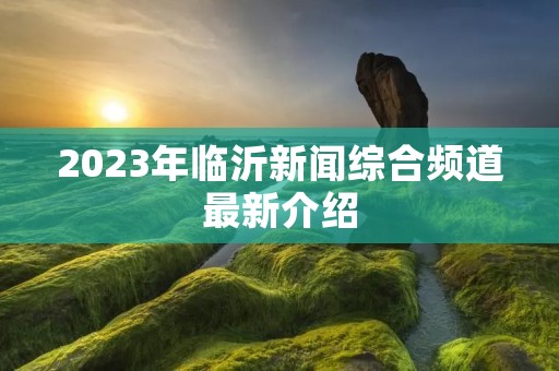 2023年临沂新闻综合频道最新介绍