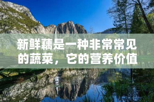 新鲜藕是一种非常常见的蔬菜,它的营养价值非常高,而且味道也非常好。新藕的做法也非常多,今天我们就来介绍一下几种常见的新藕做法。 新鲜藕是一种非常常见的蔬菜,它的营养价值非常高,而且味道也非常好。新藕的做法也非常多,今天我们就来介绍一下几种常见的新藕做法。