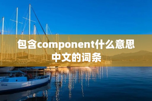包含component什么意思中文的词条 包含component什么意思中文的词条