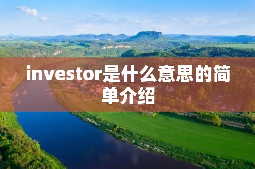 investor是什么意思的简单介绍