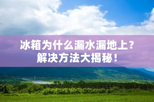 冰箱为什么漏水漏地上?解决方法大揭秘! 冰箱为什么漏水漏地上?解决方法大揭秘!