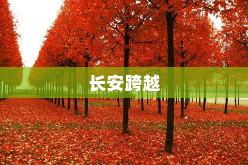 长安跨越:我的故事 长安跨越:我的故事