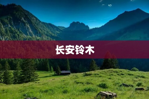 长安铃木:用心打造的品质之选 长安铃木:用心打造的品质之选