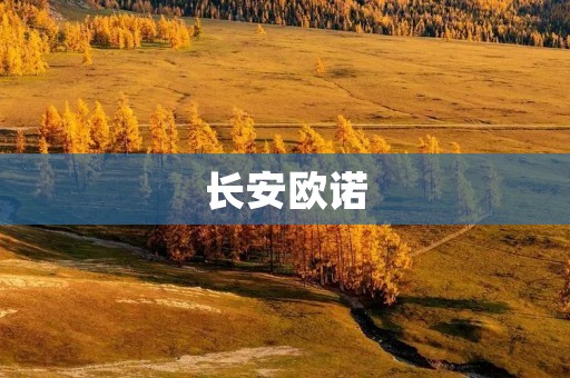 长安欧诺：品质卓越，驾乘愉悦的欧洲风尚