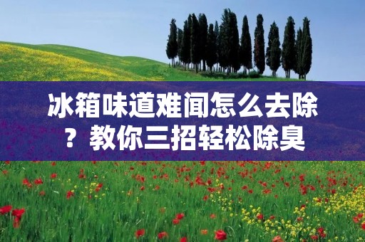 冰箱味道难闻怎么去除?教你三招轻松除臭 冰箱味道难闻怎么去除?教你三招轻松除臭