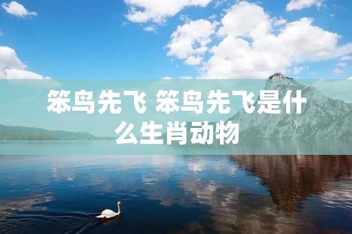 笨鸟先飞 笨鸟先飞是什么生肖动物