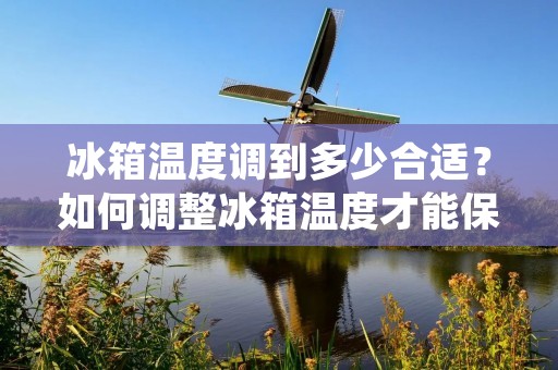 冰箱温度调到多少合适?如何调整冰箱温度才能保持食物的新鲜度?这是许多人在使用冰箱时经常遇到的问题。正确的冰箱温度可以帮助我们保持食物的新鲜度,同时也可以减少能源消耗。本文将为您介绍如何调整冰箱温度以及保持食物的新鲜度。 冰箱温度调到多少合适?如何调整冰箱温度才能保持食物的新鲜度?这是许多人在使用冰箱时经常遇到的问题。正确的冰箱温度可以帮助我们保持食物的新鲜度,同时也可以减少能源消耗。本文将为您介绍如何调整冰箱温度以及保持食物的新鲜度。