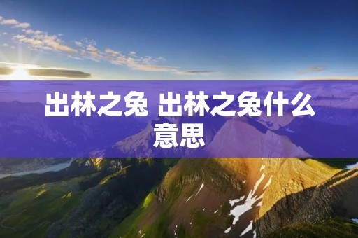 出林之兔 出林之兔什么意思