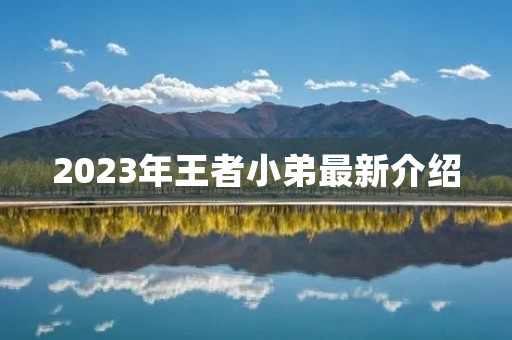2023年王者小弟最新介绍 2023年王者小弟最新介绍