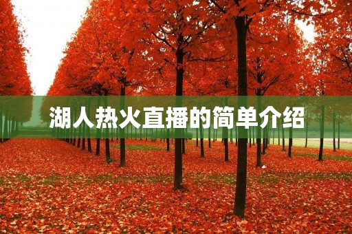 湖人热火直播的简单介绍
