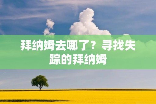 拜纳姆去哪了？寻找失踪的拜纳姆
