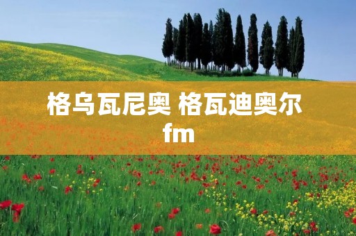 格乌瓦尼奥 格瓦迪奥尔 fm