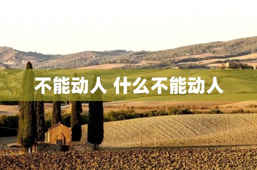 不能动人 什么不能动人 不能动人 什么不能动人