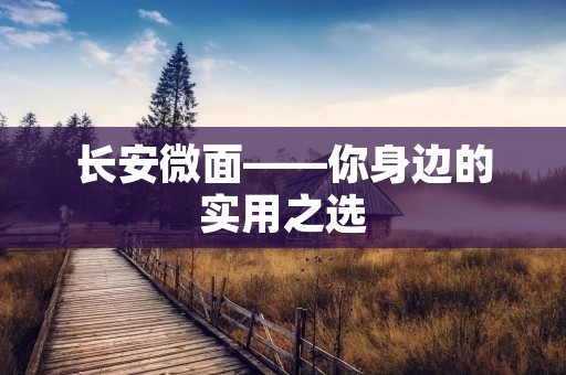 长安微面——你身边的实用之选