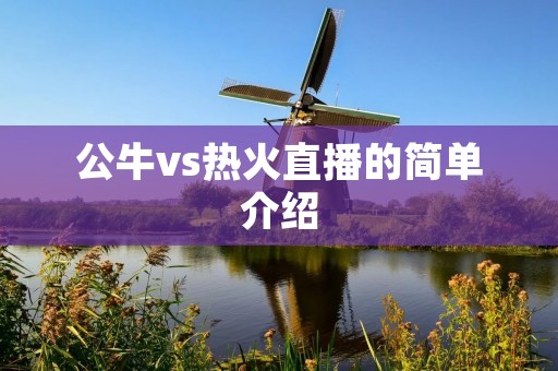公牛vs热火直播的简单介绍 公牛vs热火直播的简单介绍
