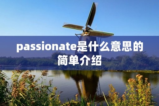 passionate是什么意思的简单介绍 passionate是什么意思的简单介绍
