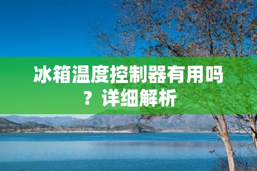 冰箱温度控制器有用吗?详细解析 冰箱温度控制器有用吗?详细解析