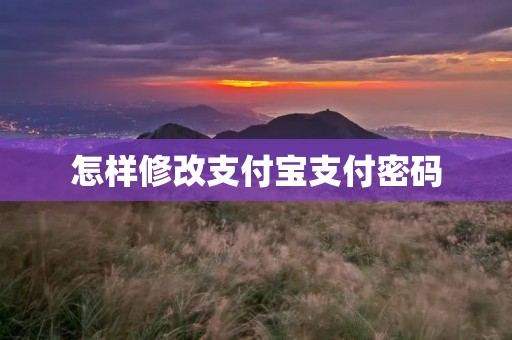 怎样修改支付宝支付密码