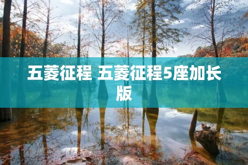 五菱征程 五菱征程5座加长版
