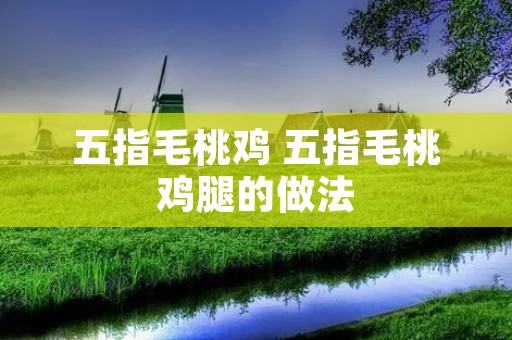 五指毛桃鸡 五指毛桃鸡腿的做法