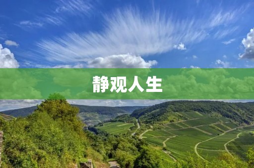 静观人生：探寻内心深处的力量