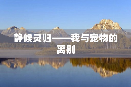 静候灵归——我与宠物的离别