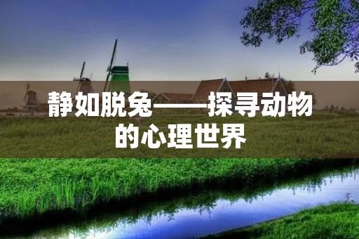 静如脱兔——探寻动物的心理世界