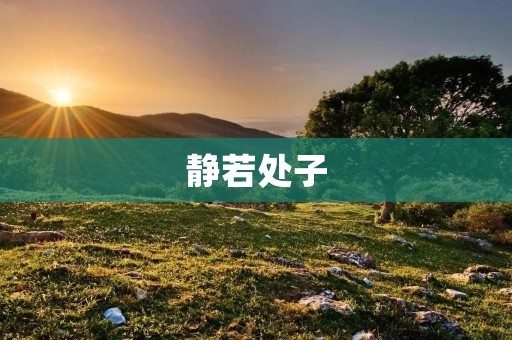 静若处子：探究女性内心深处的宁静与力量