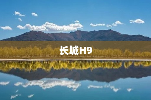 长城H9:豪华SUV的领袖者 长城H9:豪华SUV的领袖者
