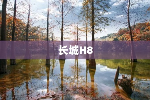 长城H8:卓越的SUV之选 长城H8:卓越的SUV之选