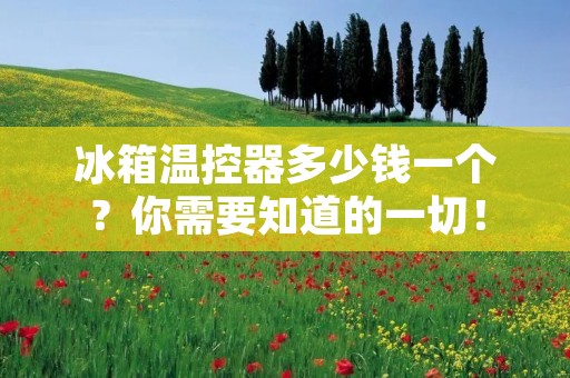 冰箱温控器多少钱一个？你需要知道的一切！