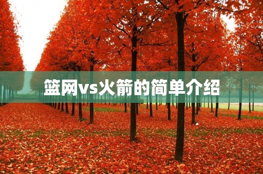 篮网vs火箭的简单介绍