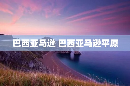 巴西亚马逊 巴西亚马逊平原